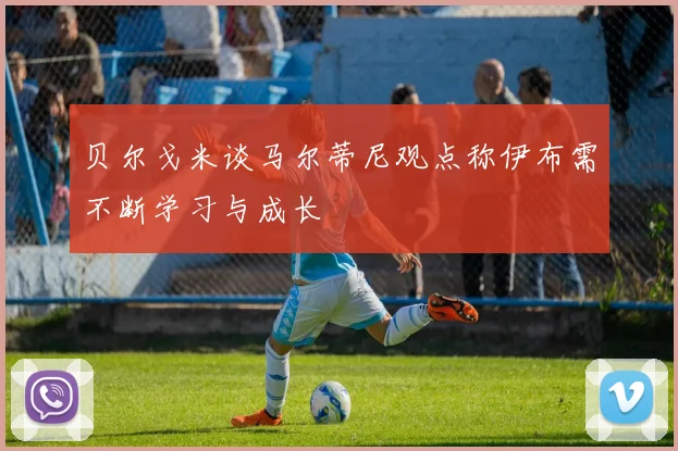 贝尔戈米谈马尔蒂尼观点称伊布需不断学习与成长